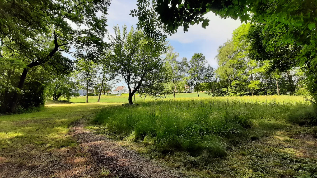 Wiese, Acker und ein Wäldchen innerhalb eines Wohnquartiers.